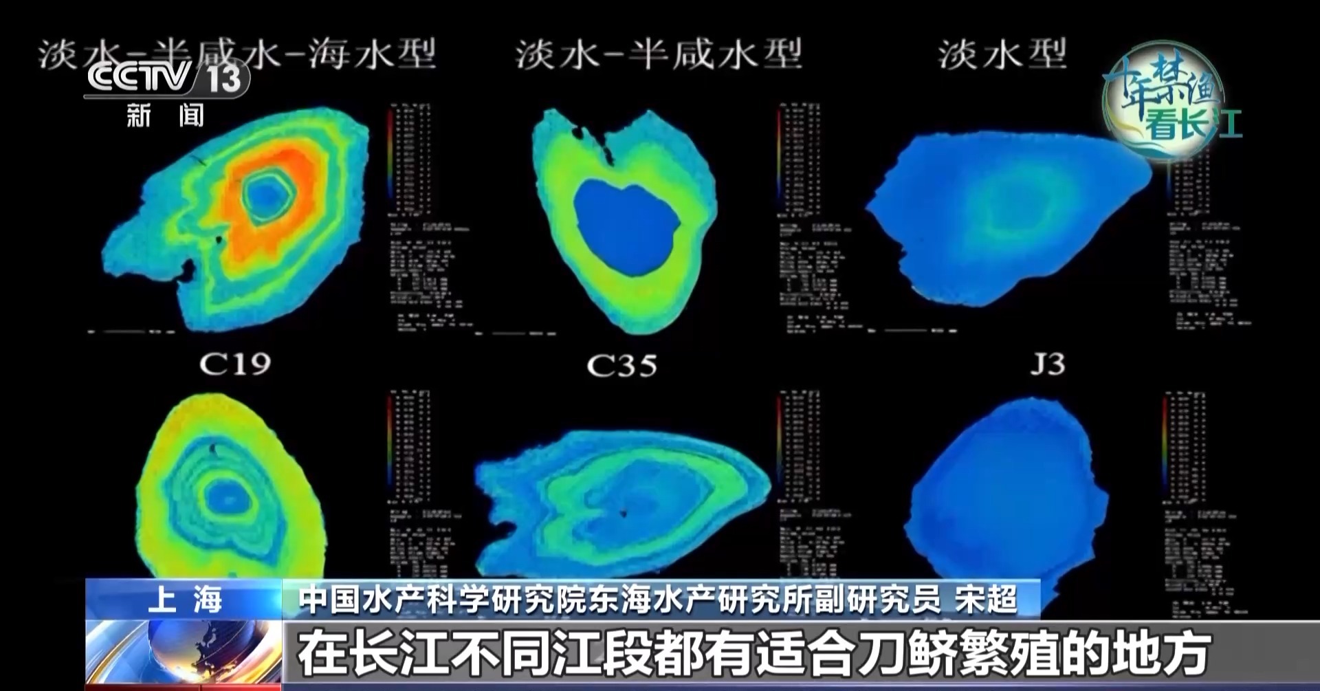 长江禁渔鱼类数据变化,长江禁渔三年多鱼儿们过得怎么样