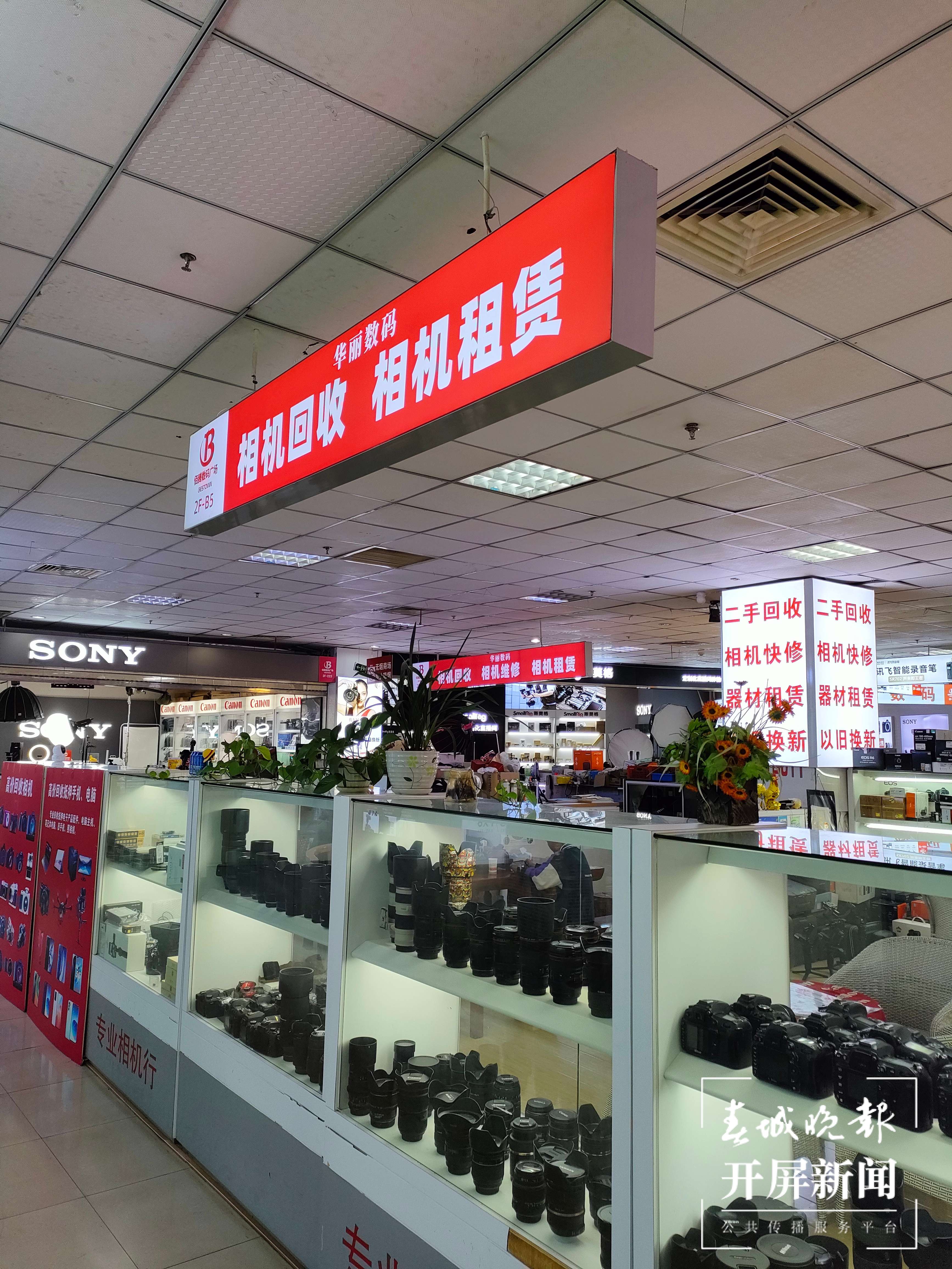 孔雀开屏的观察和思考,孔雀开屏云南游玩攻略