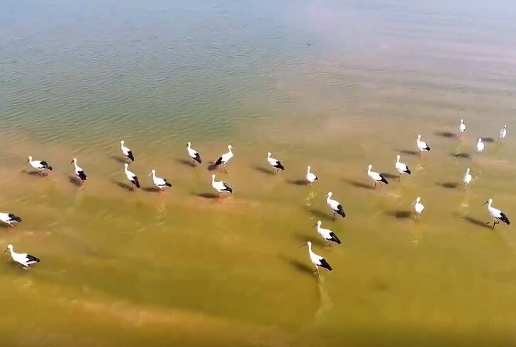 山东经济何时能爆发式增长,经济大省挑大梁