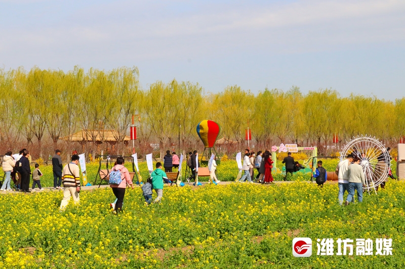这个假期盛开如花,赴一场花之约邂逅春日浪漫