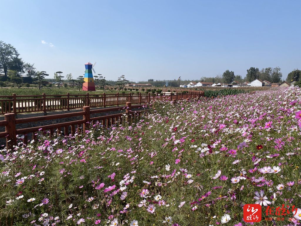 一镇一业成大业丨临沂市沂水县许家湖镇：“花开长虹以美养美”