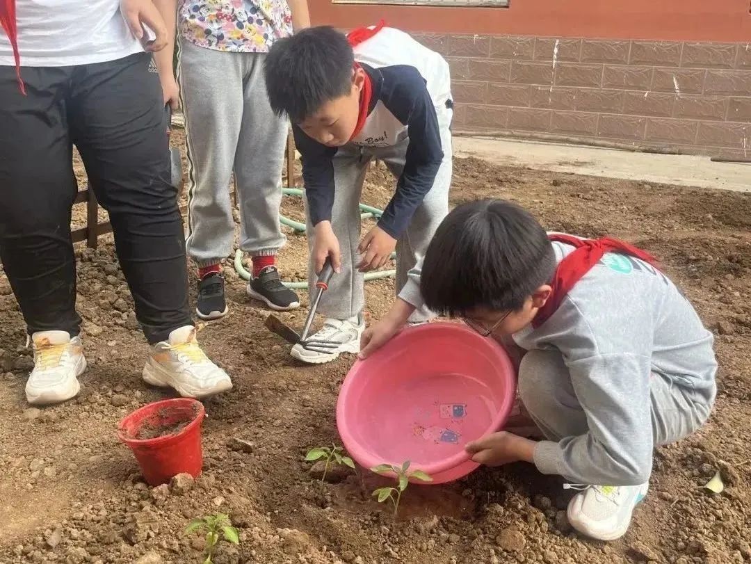 当年的济南玉函小学,济南玉函北区玉函小学