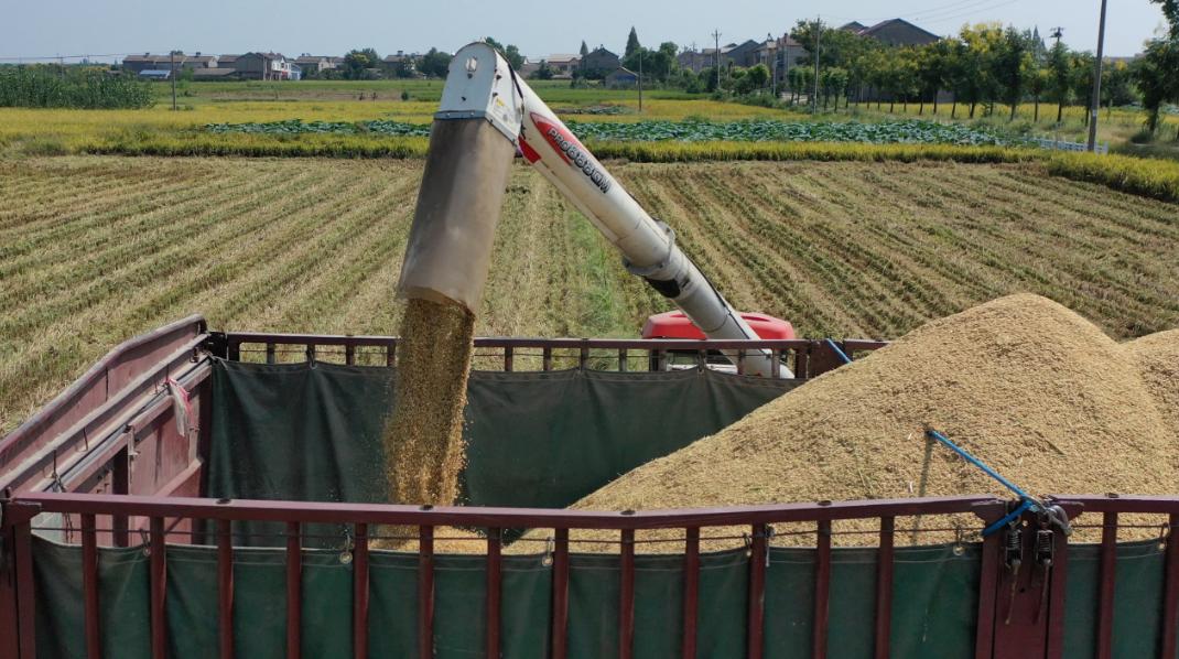 松滋最美的风景,松滋田园景色