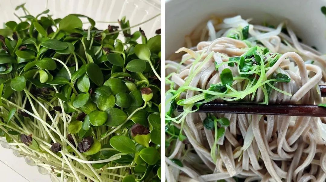 山姆盒马什么值得买,盒马山姆畅销产品