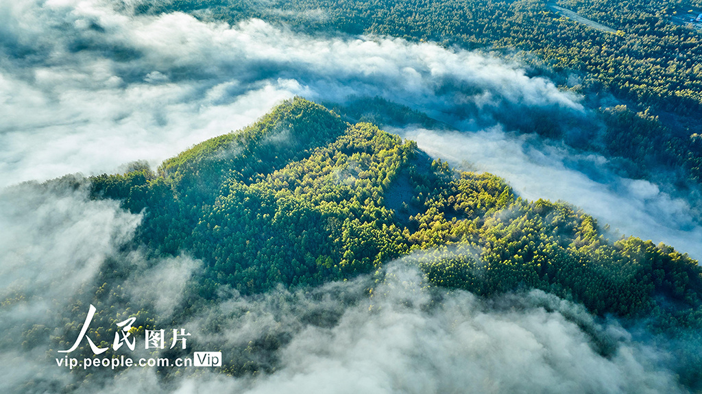 内蒙阿尔山美景视频,阿尔山国家森林公园的秋色