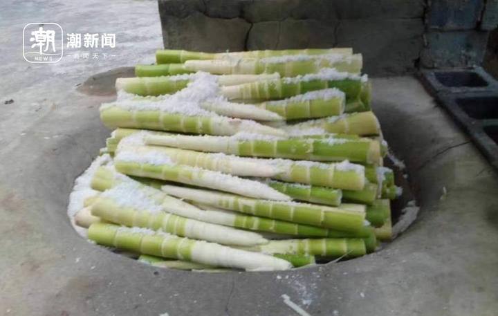 用什么办法来保存新鲜的笋,专家讲新鲜竹笋咋保存最有营养