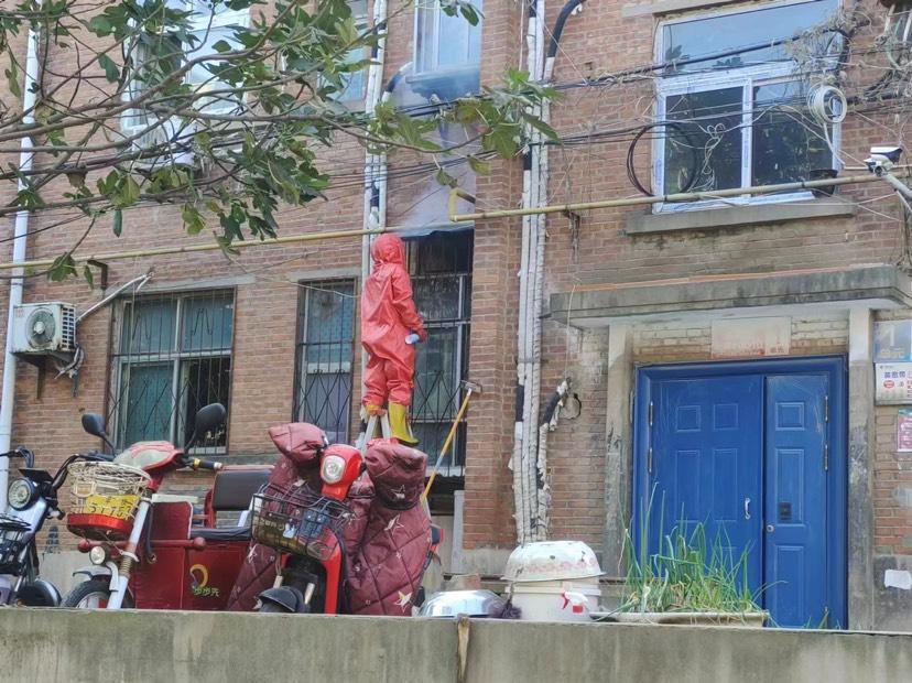 民呼必应回音壁马蜂筑巢扰民,平顶山12345民呼必应