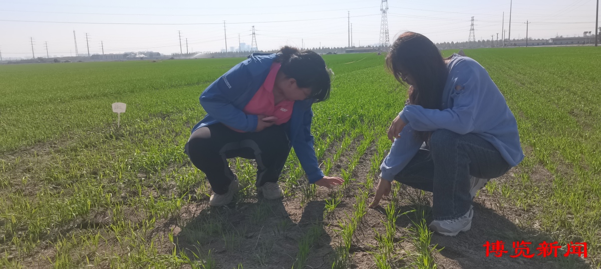 走进千强镇｜唐山镇演绎“膜法传奇”